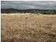 215L Narromine Road “BandyWallop”, Dubbo NSW 2830