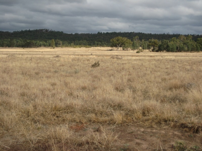 215L Narromine Road “BandyWallop”, Dubbo NSW 2830