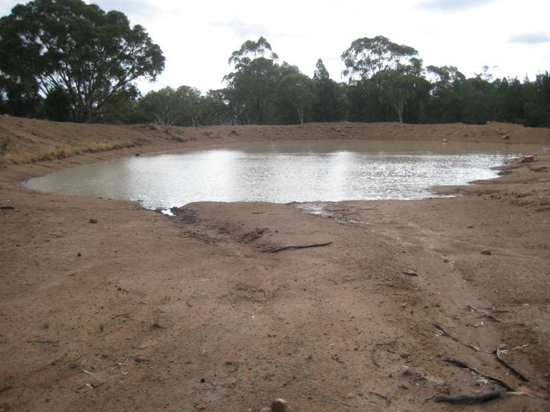 215L Narromine Road “BandyWallop”, Dubbo NSW 2830