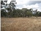 215L Narromine Road “BandyWallop”, Dubbo NSW 2830