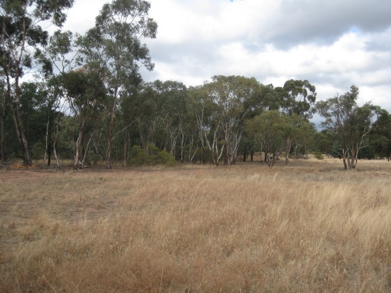 215L Narromine Road “BandyWallop”, Dubbo NSW 2830