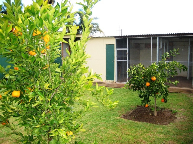 7 Samuels Street, Dubbo NSW 2830