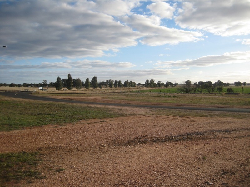 1 Cardigan Street, Tullamore NSW 2874