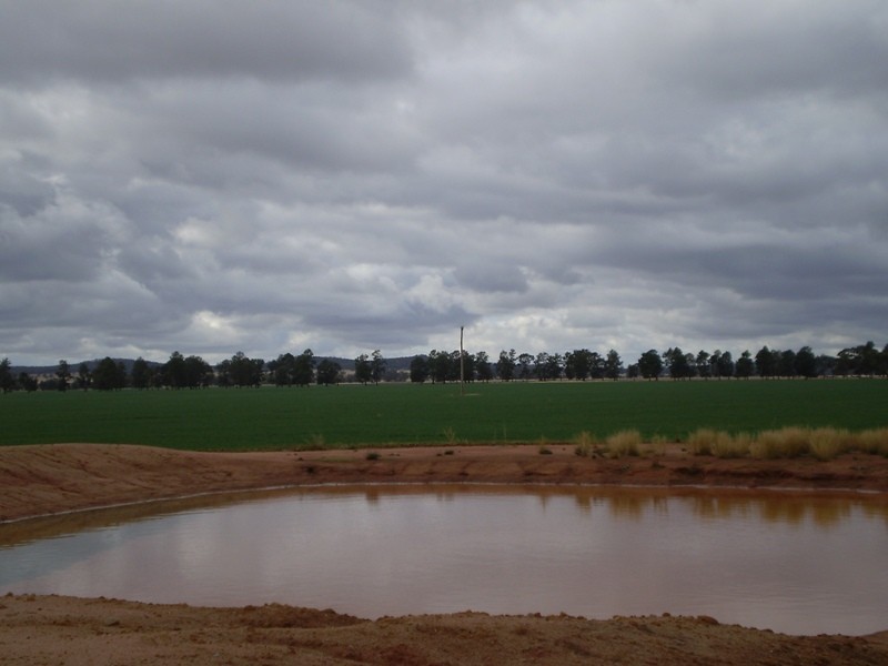 ” Oondooroo”, Tomingley NSW 2869
