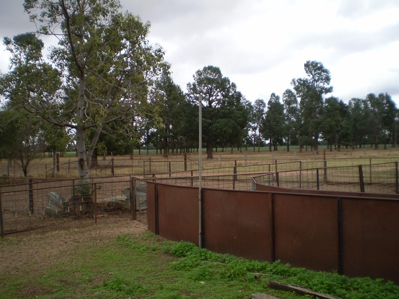 ” Oondooroo”, Tomingley NSW 2869