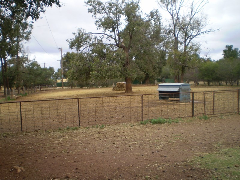 ” Oondooroo”, Tomingley NSW 2869