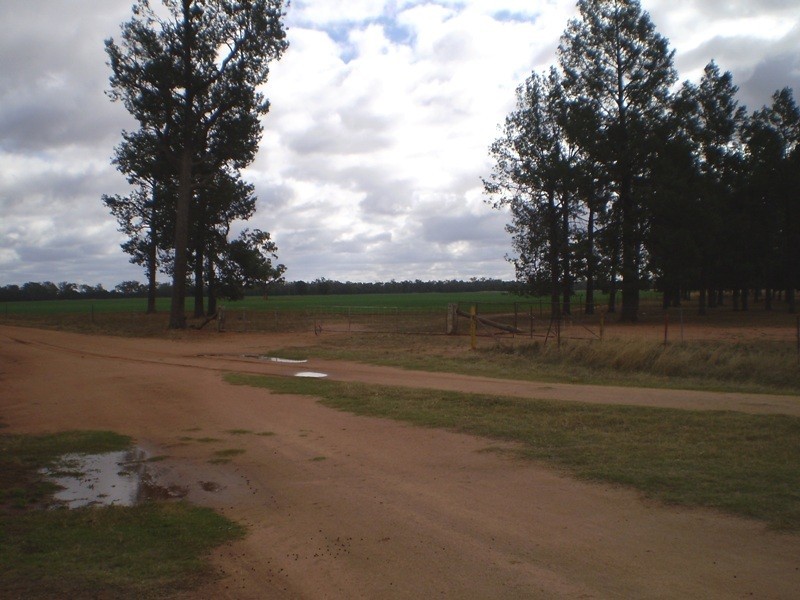 ” Oondooroo”, Tomingley NSW 2869