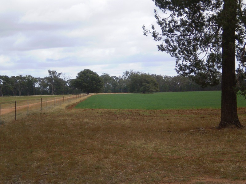 ” Oondooroo”, Tomingley NSW 2869