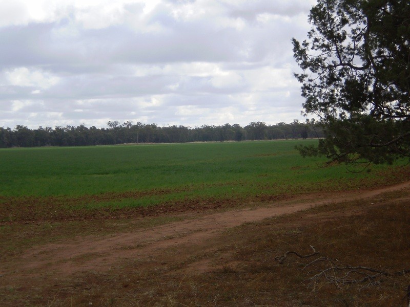 ” Oondooroo”, Tomingley NSW 2869