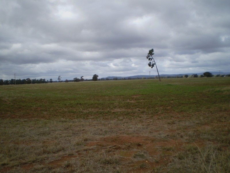 ” Oondooroo”, Tomingley NSW 2869