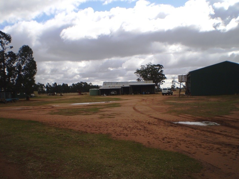 ” Oondooroo”, Tomingley NSW 2869