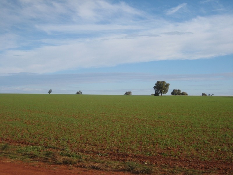‘ Rosedale’, Nyngan NSW 2825