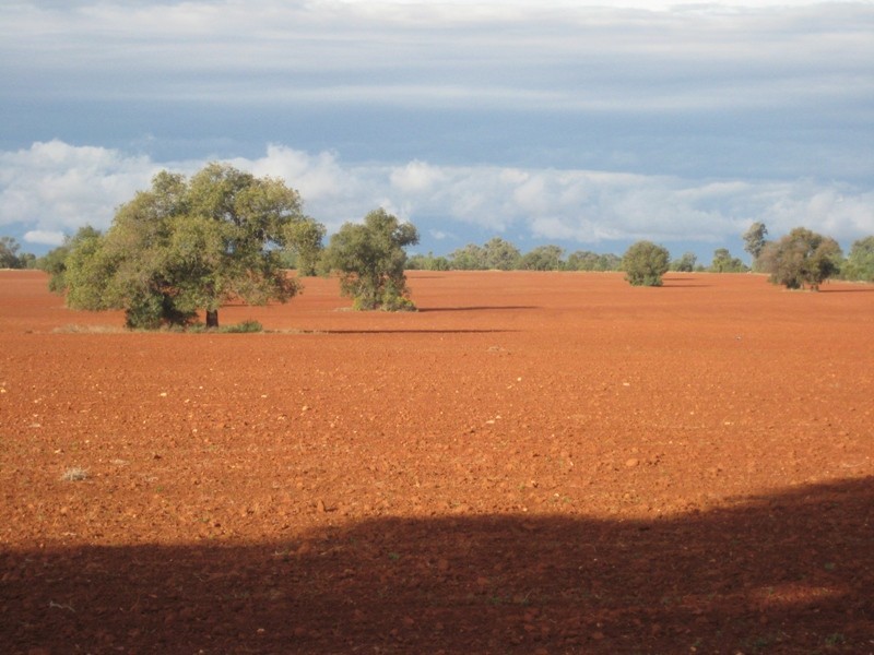 ‘ Rosedale’, Nyngan NSW 2825