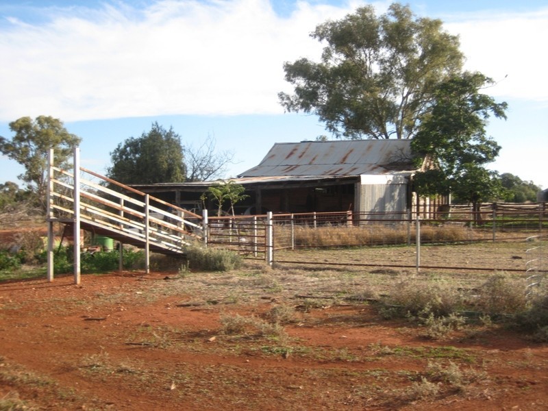 ‘ Rosedale’, Nyngan NSW 2825