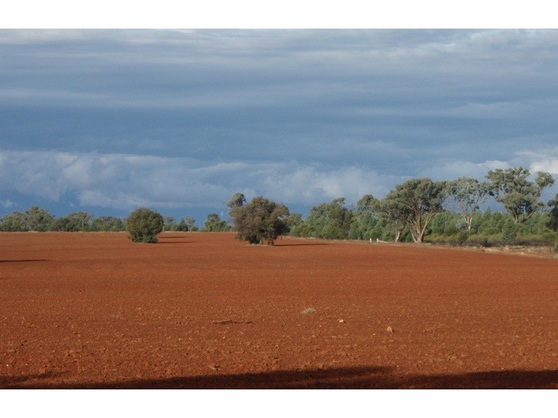 ‘ Rosedale’, Nyngan NSW 2825
