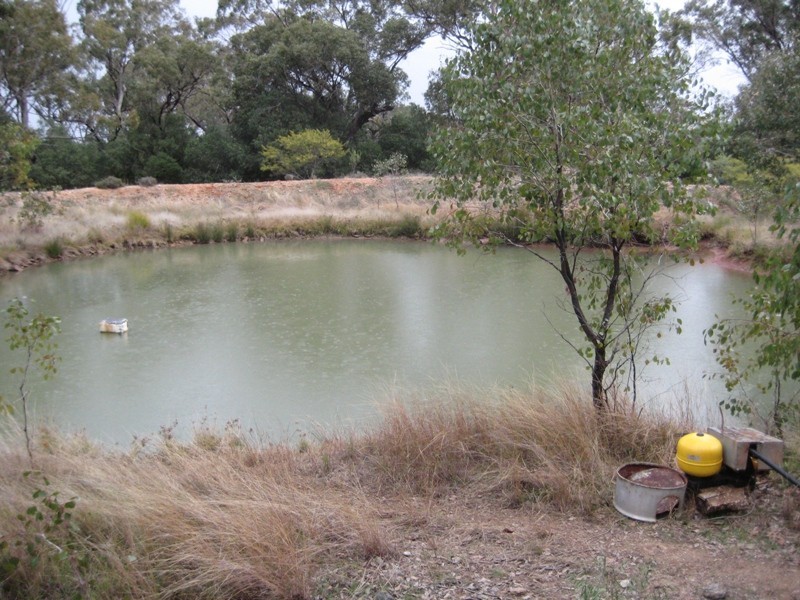 Lot 93 Orange Lane, Tottenham NSW 2873