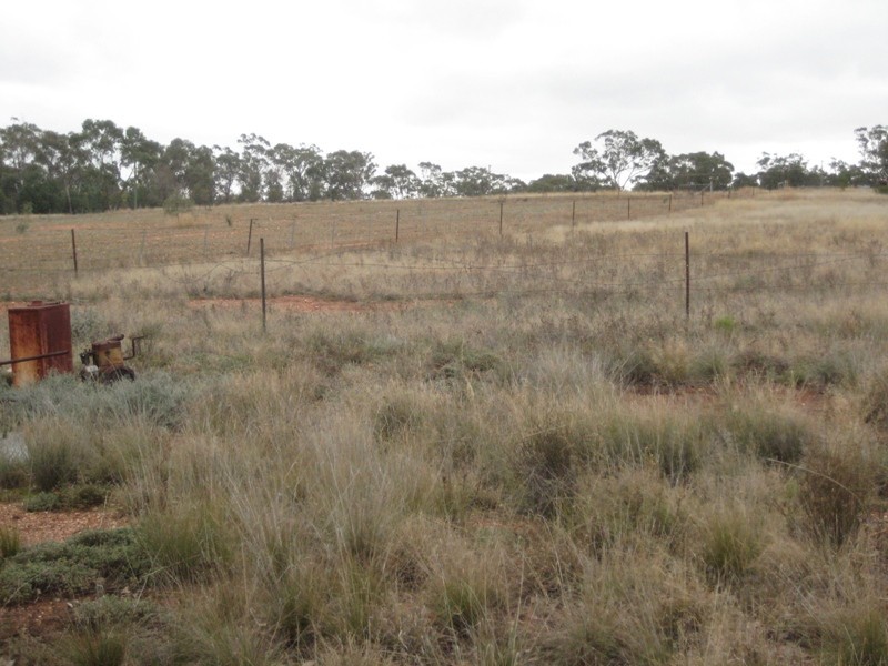 Lot 93 Orange Lane, Tottenham NSW 2873