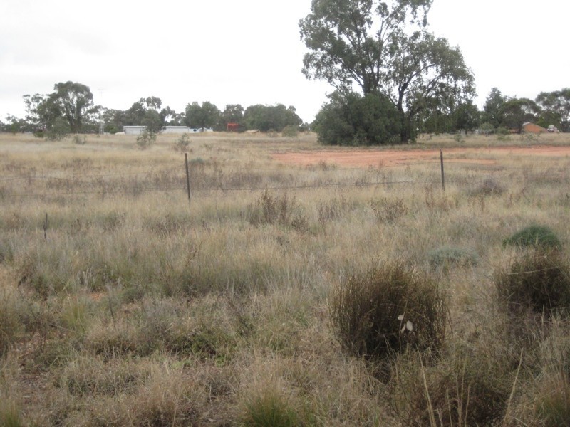 Lot 93 Orange Lane, Tottenham NSW 2873