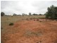 Lot 93 Orange Lane, Tottenham NSW 2873