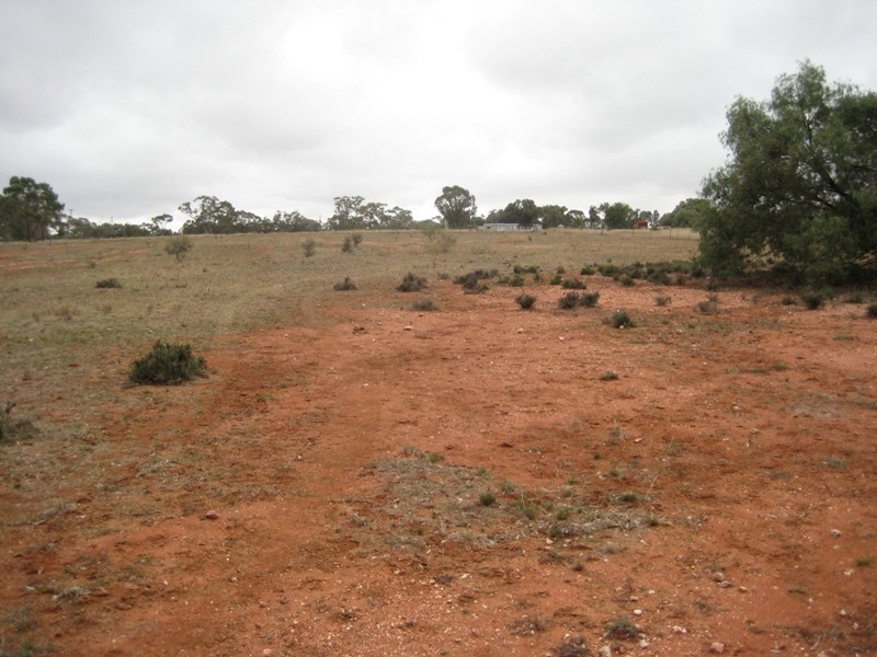 Lot 93 Orange Lane, Tottenham NSW 2873