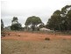 Lot 93 Orange Lane, Tottenham NSW 2873