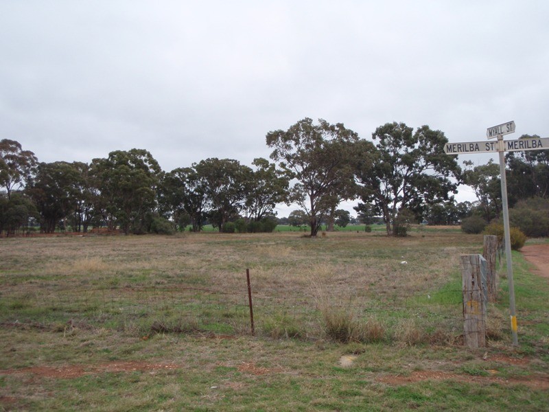 . Lot 43 and Lot 44 Myall Street, Tomingley NSW 2869