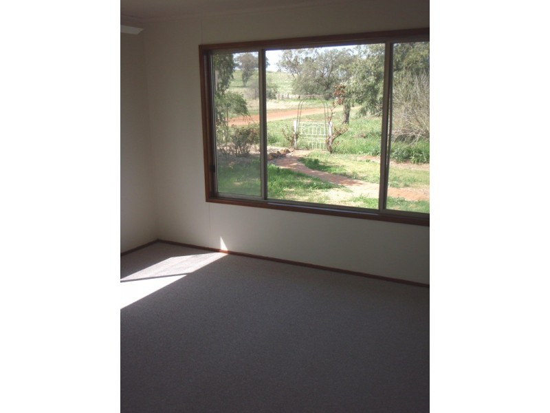 ‘ Calliope’, Wellington NSW 2820