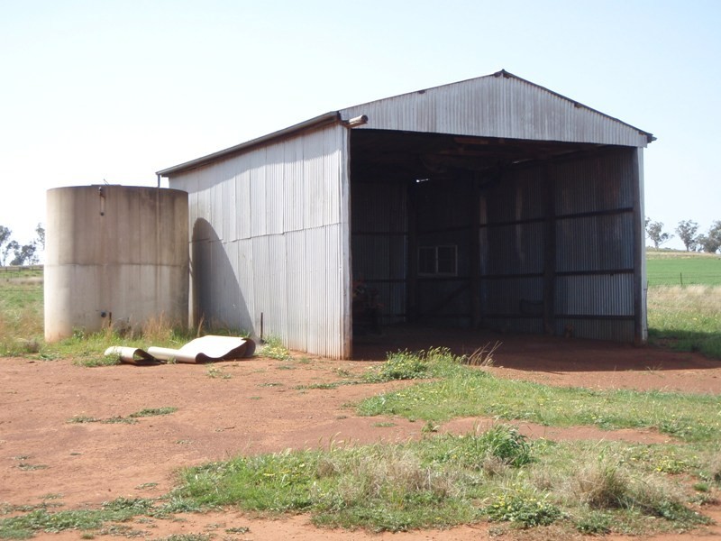 ‘ Calliope’, Wellington NSW 2820