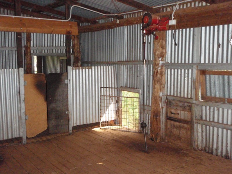 ‘ Calliope’, Wellington NSW 2820