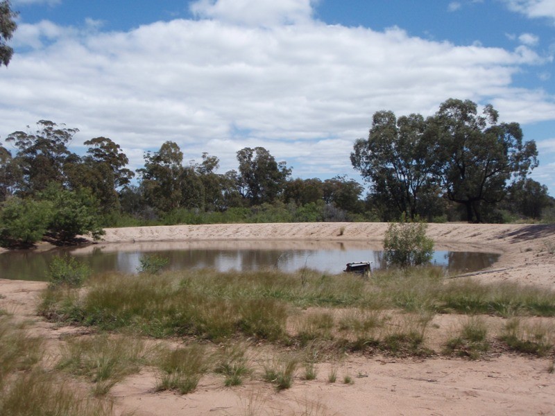 2817 Tantitha Road, Tomingley NSW 2869