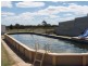 2817 Tantitha Road, Tomingley NSW 2869