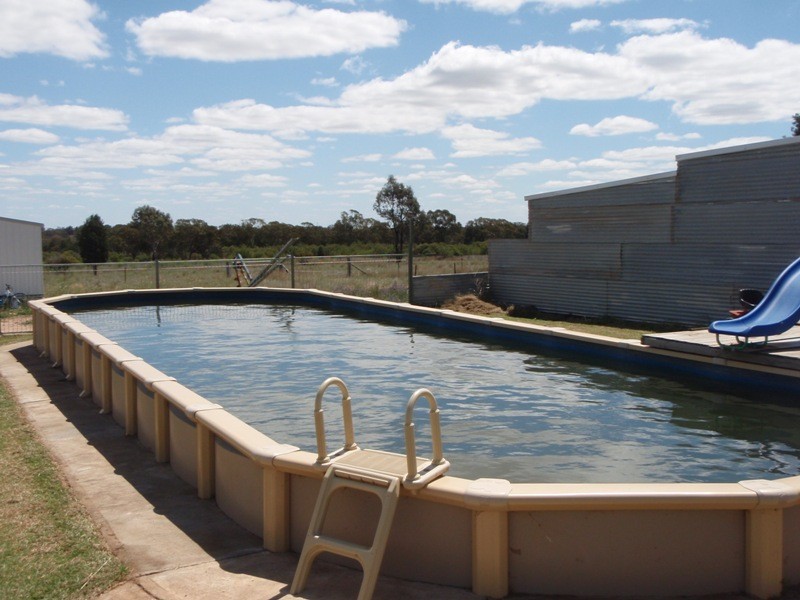 2817 Tantitha Road, Tomingley NSW 2869