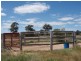 2817 Tantitha Road, Tomingley NSW 2869