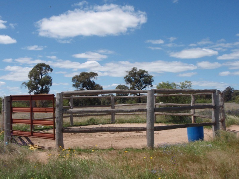 2817 Tantitha Road, Tomingley NSW 2869