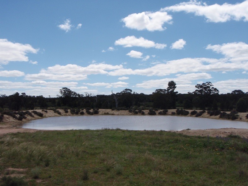 2817 Tantitha Road, Tomingley NSW 2869