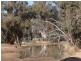 ‘Marona’ Tonniges Road, Dunedoo NSW 2844