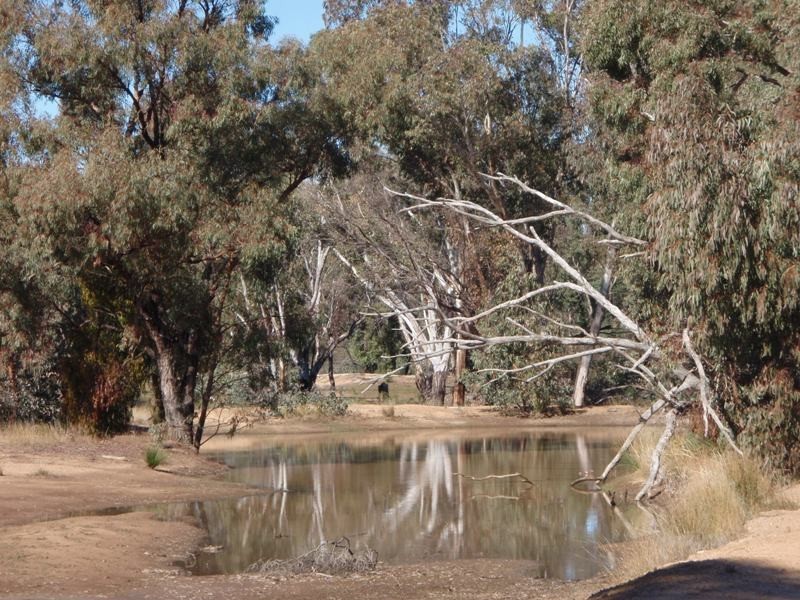 ‘Marona’ Tonniges Road, Dunedoo NSW 2844