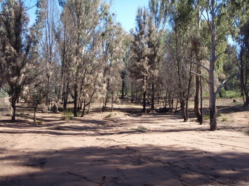 ‘Marona’ Tonniges Road, Dunedoo NSW 2844