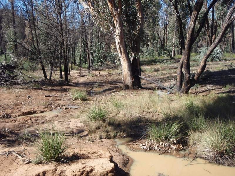 ‘Marona’ Tonniges Road, Dunedoo NSW 2844