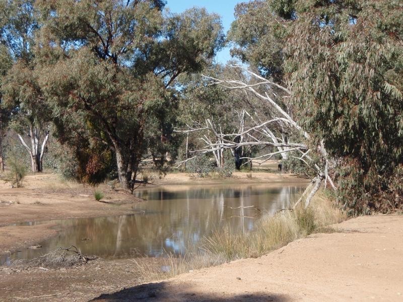 ‘Marona’ Tonniges Road, Dunedoo NSW 2844