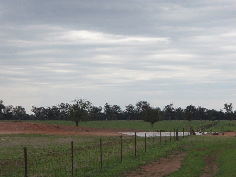‘Elson’ Donnelly’s Road, Eumungerie NSW 2831