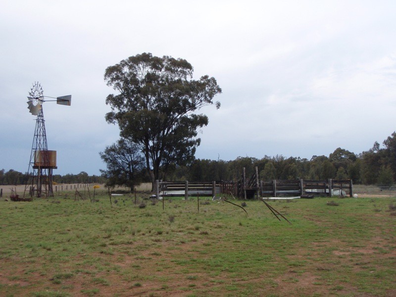 ‘Elson’ Donnelly’s Road, Eumungerie NSW 2831