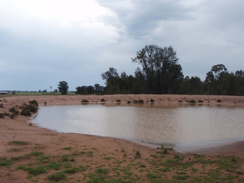 ‘Elson’ Donnelly’s Road, Eumungerie NSW 2831