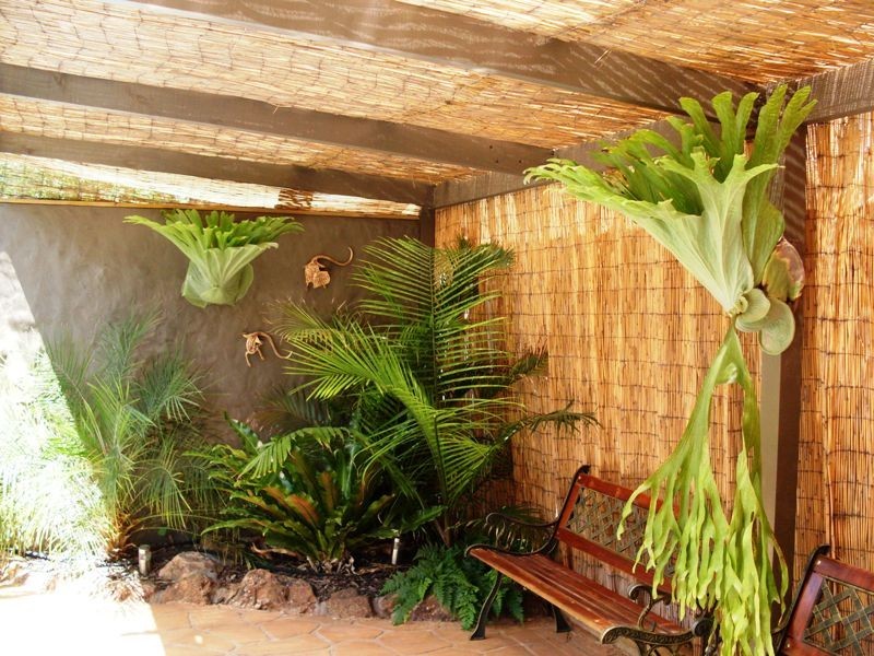 154 Gipps Street, Dubbo NSW 2830