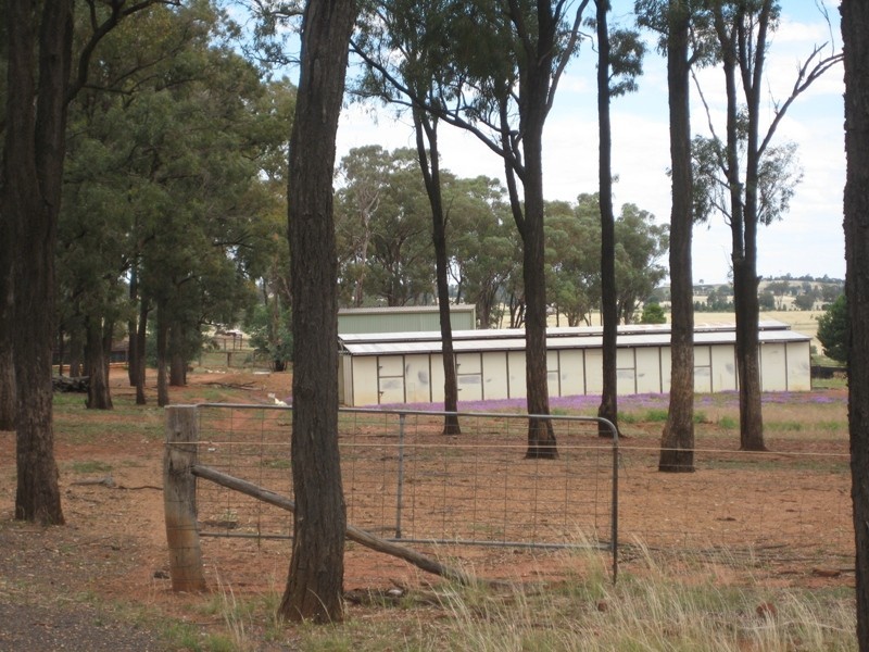 46R Whitewood Road, Dubbo NSW 2830