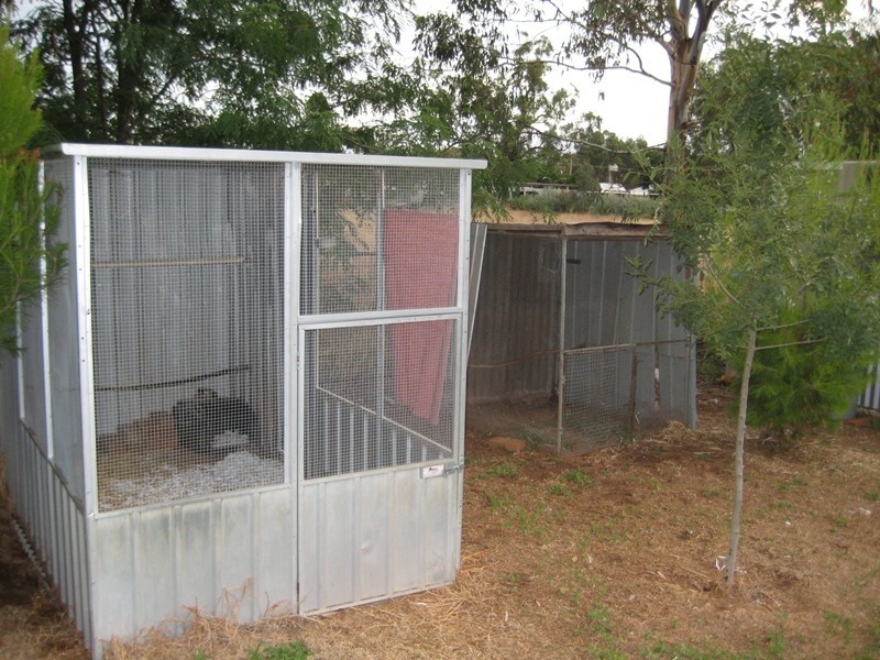 9 Nardoo Street, Ballimore NSW 2830