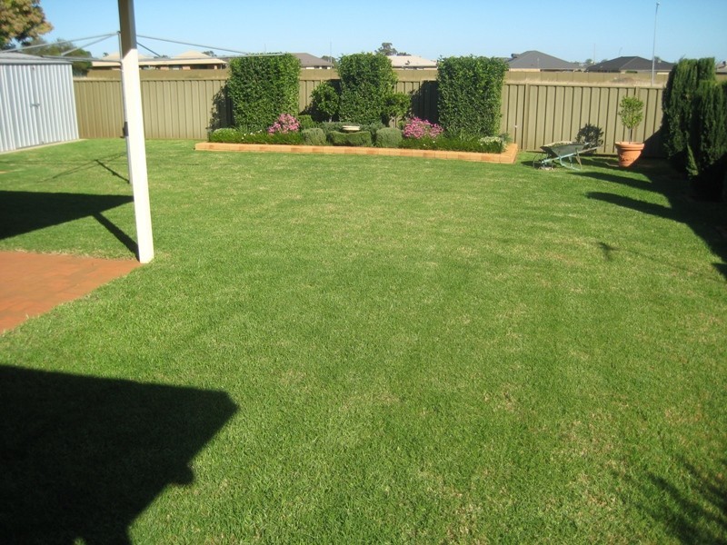 19 Websdale Drive, Dubbo NSW 2830