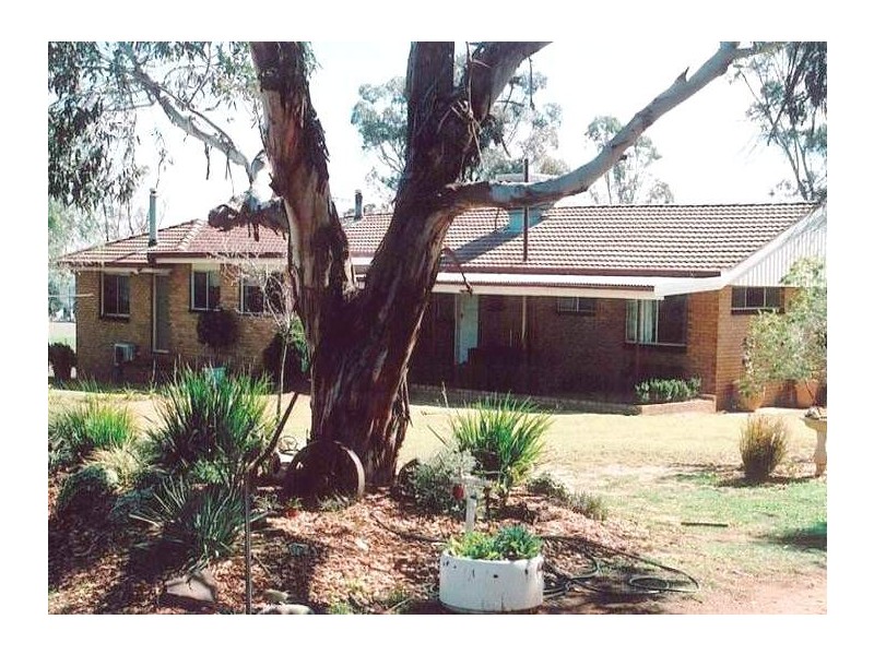 24R Eulomogo Road, Dubbo NSW 2830