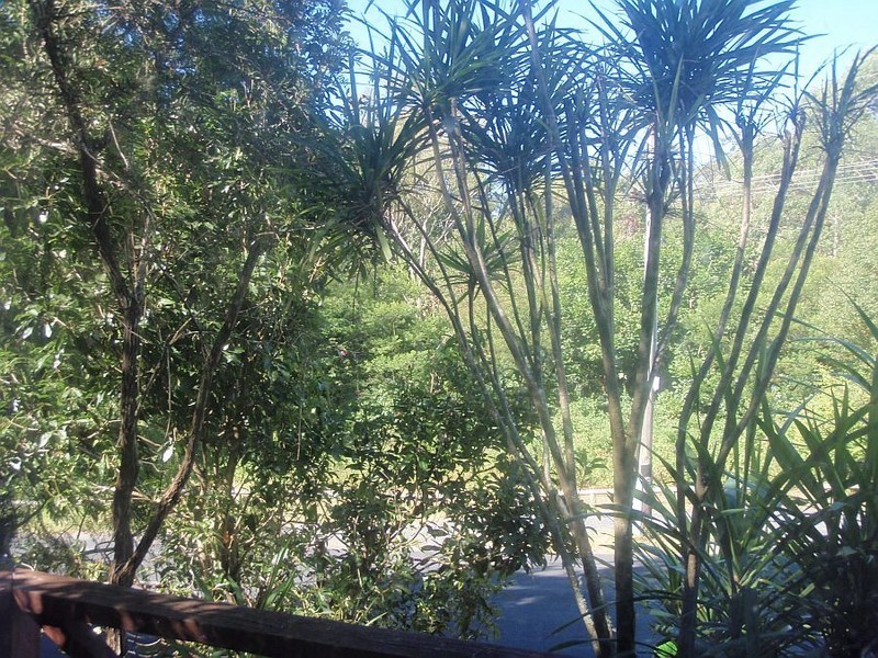 2/17 Warrawilla Street, Wyoming NSW 2250