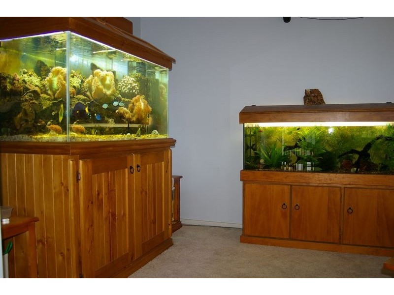 8/12-20 Kinarra, Wyoming NSW 2250